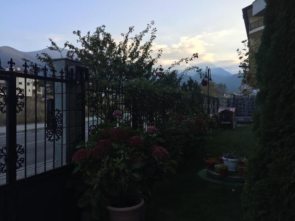 Skiing, Walking, Enjoying In Mountains Bansko Exterior foto