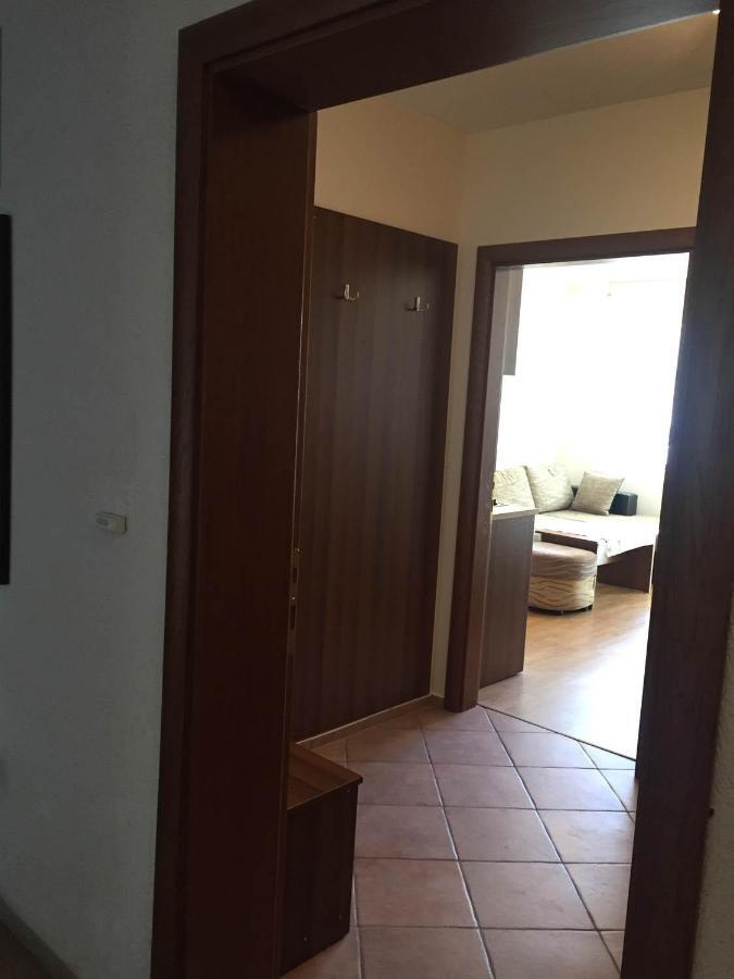 Skiing, Walking, Enjoying In Mountains Bansko Exterior foto