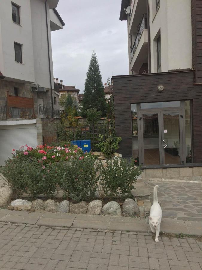 Skiing, Walking, Enjoying In Mountains Bansko Exterior foto